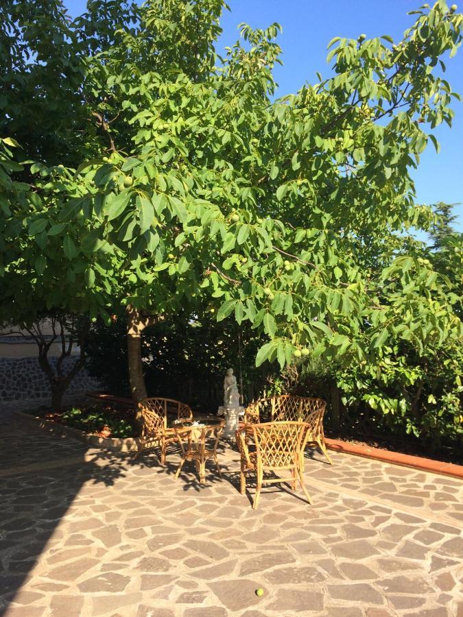 ויבו ולנטיה B&B "Croce Nivera" מראה חיצוני תמונה